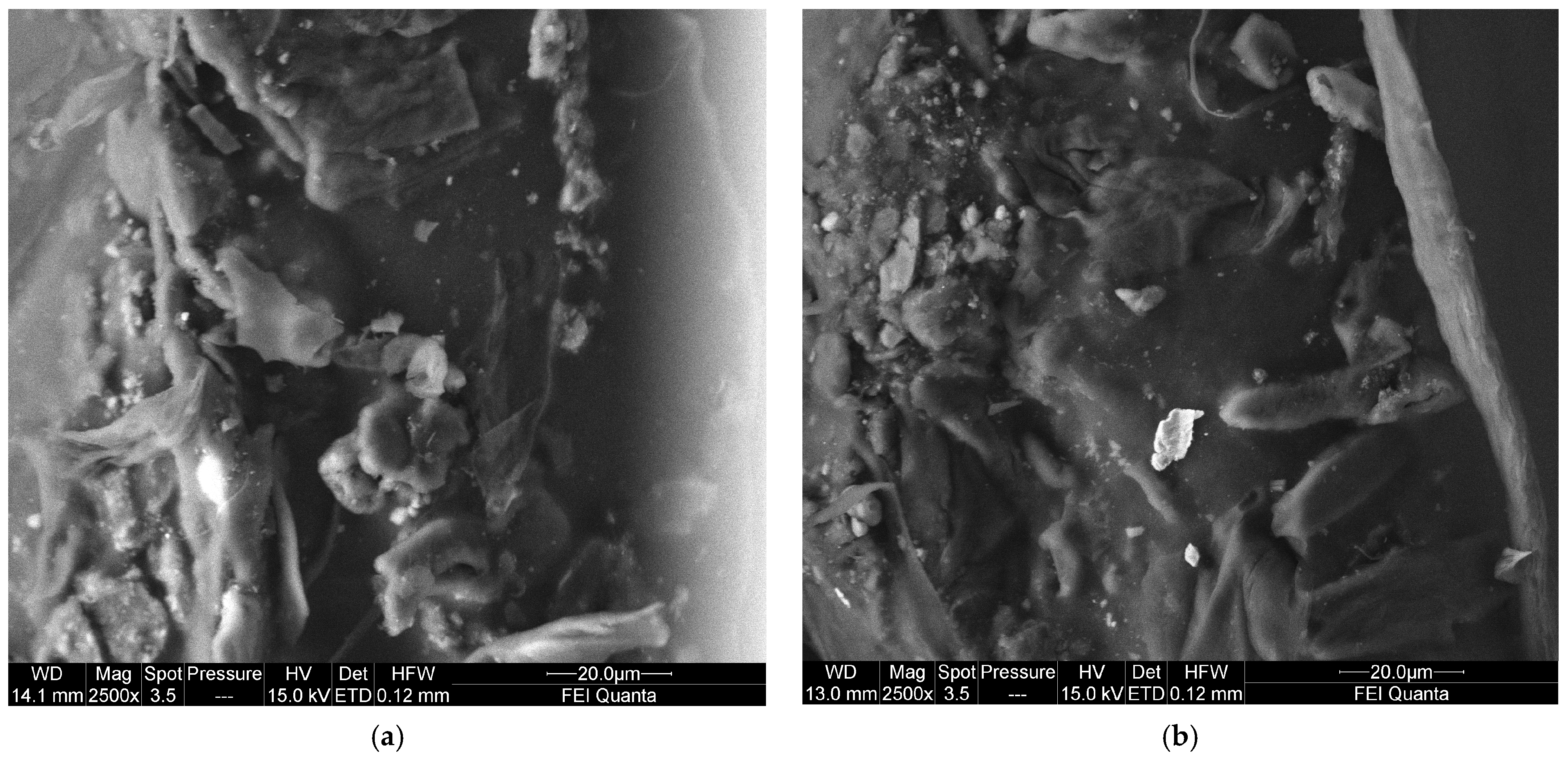 Applsci 15 01938 g021