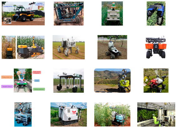 Applsci 15 02061 i006