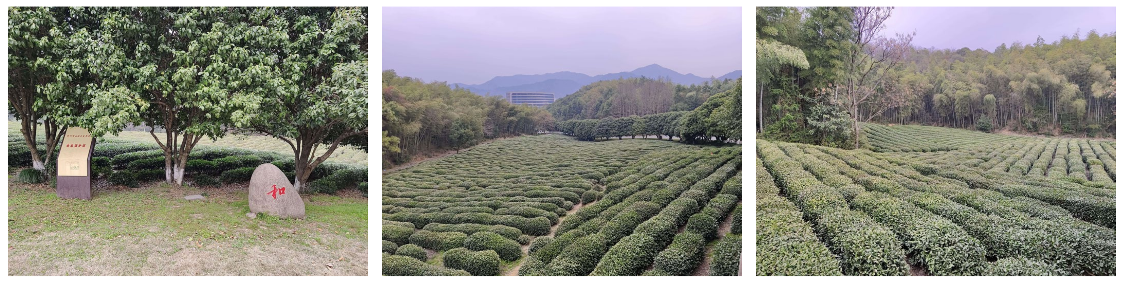 Applsci 15 02063 g005