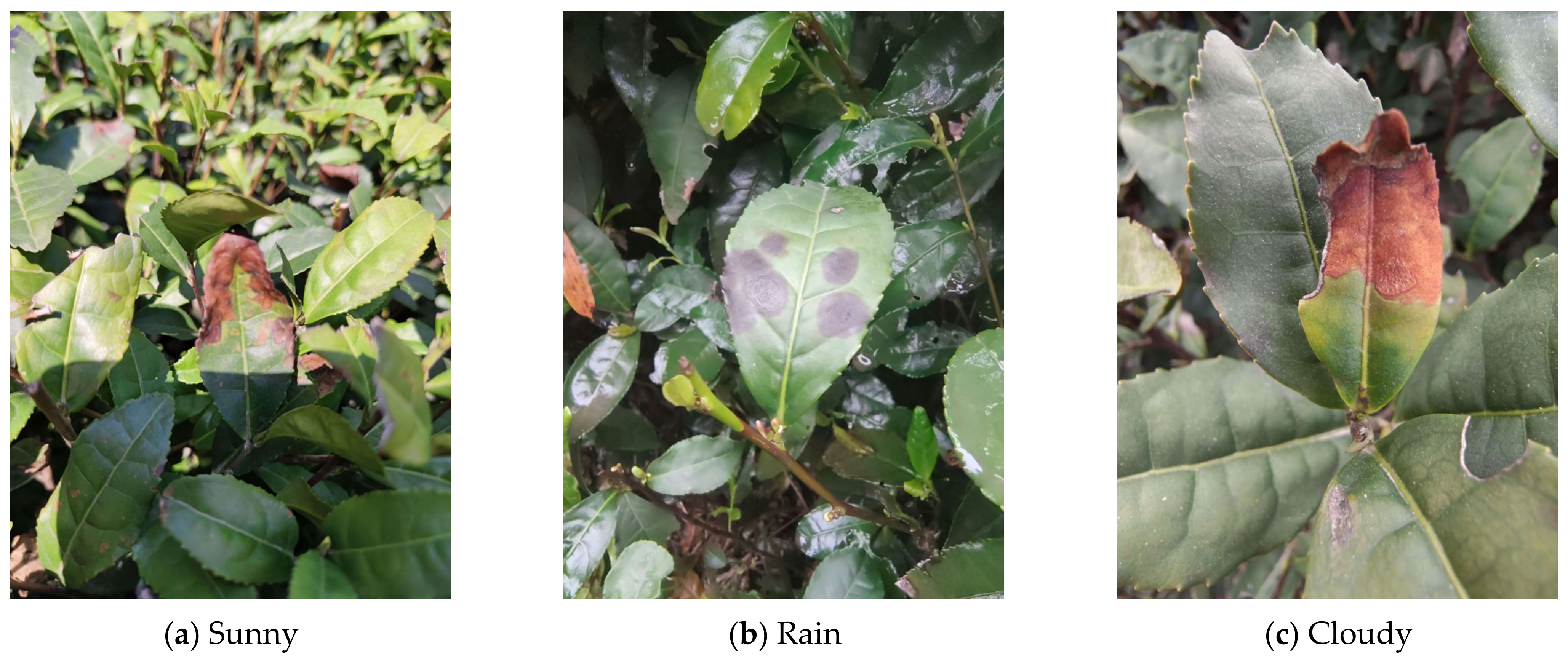 Applsci 15 02063 g006a