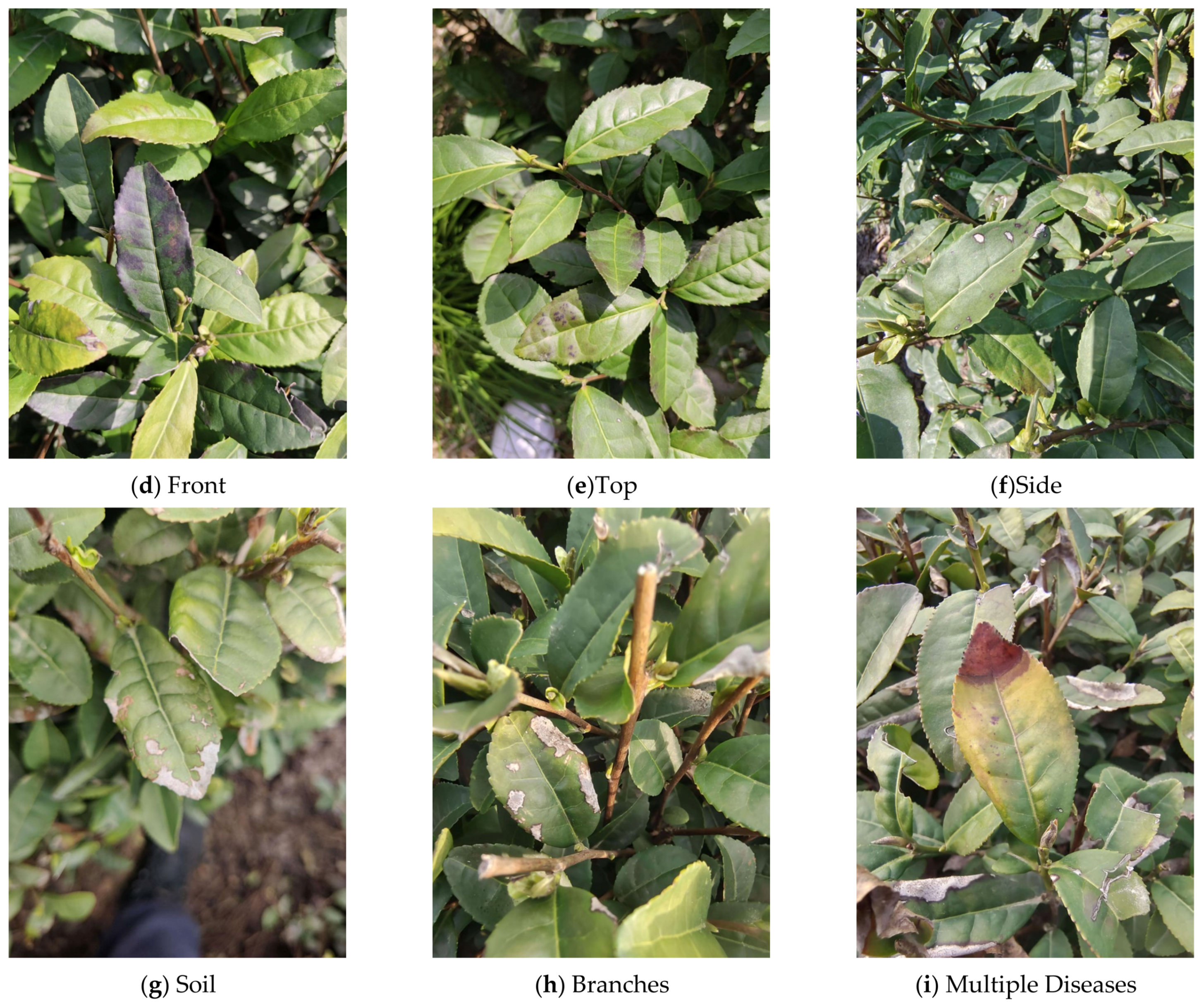 Applsci 15 02063 g006b