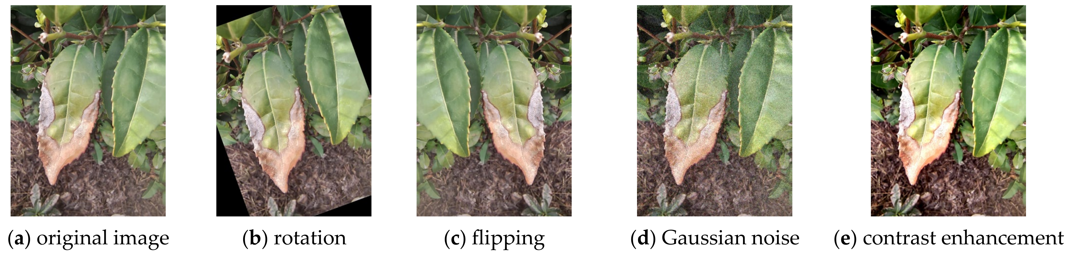 Applsci 15 02063 g007