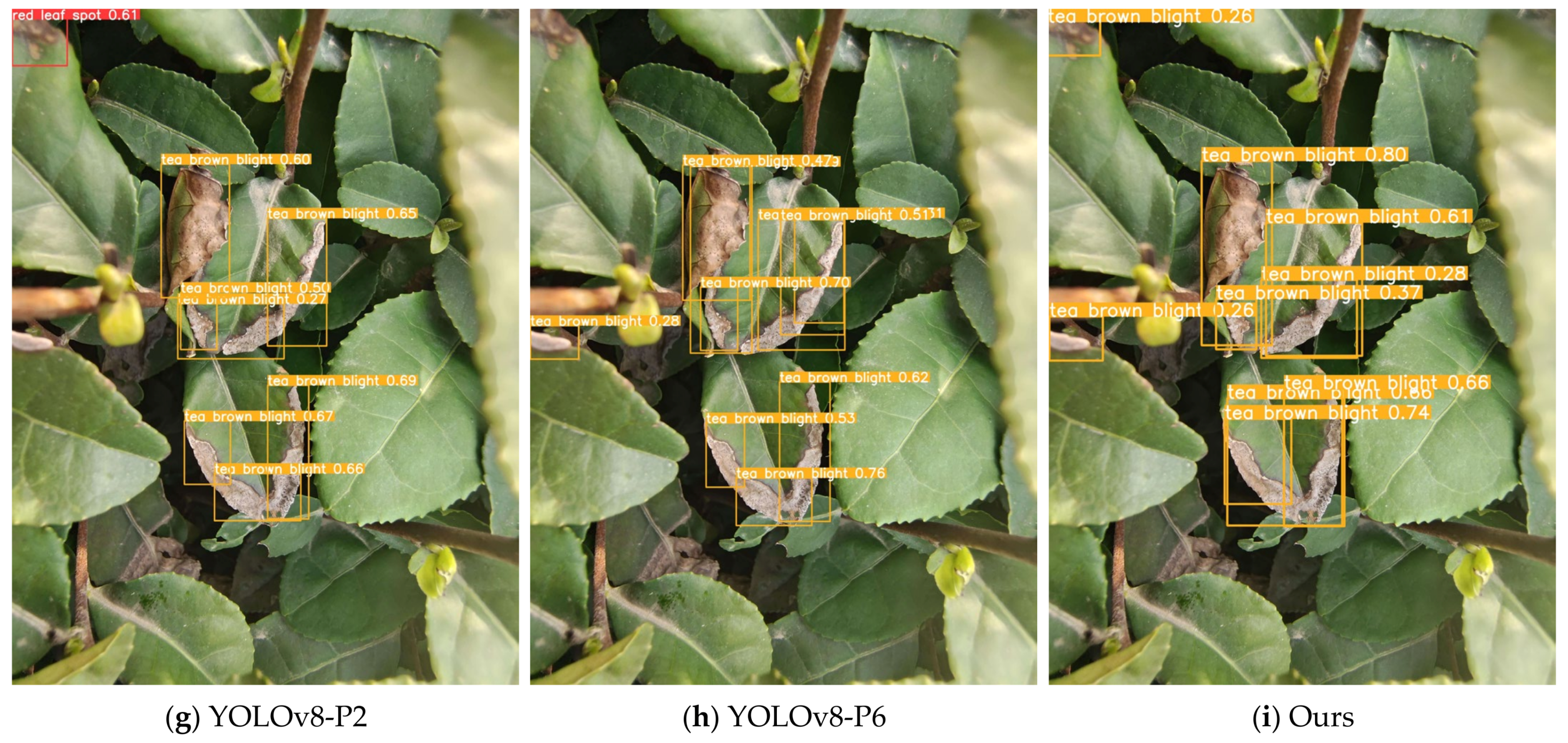 Applsci 15 02063 g008b