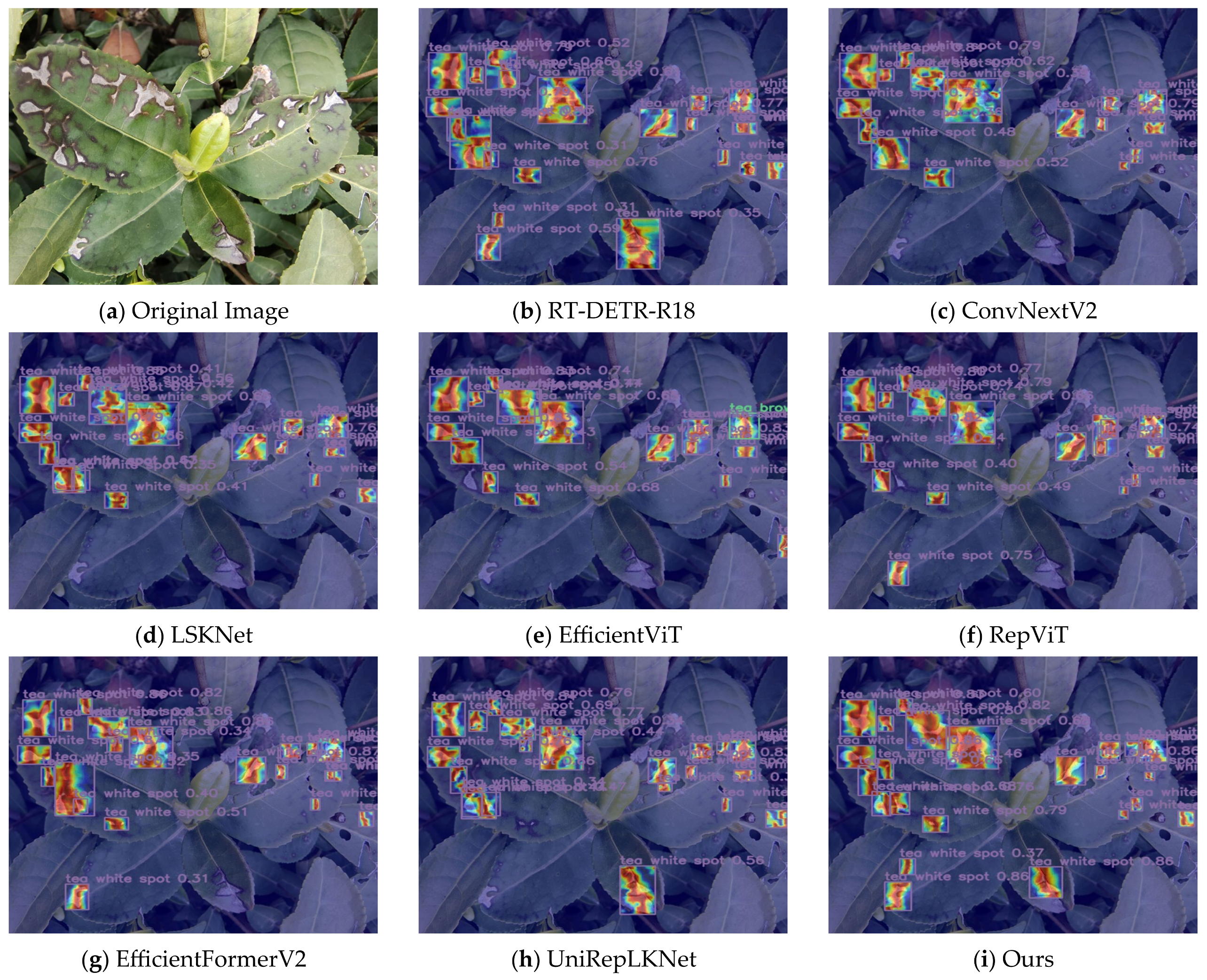 Applsci 15 02063 g009