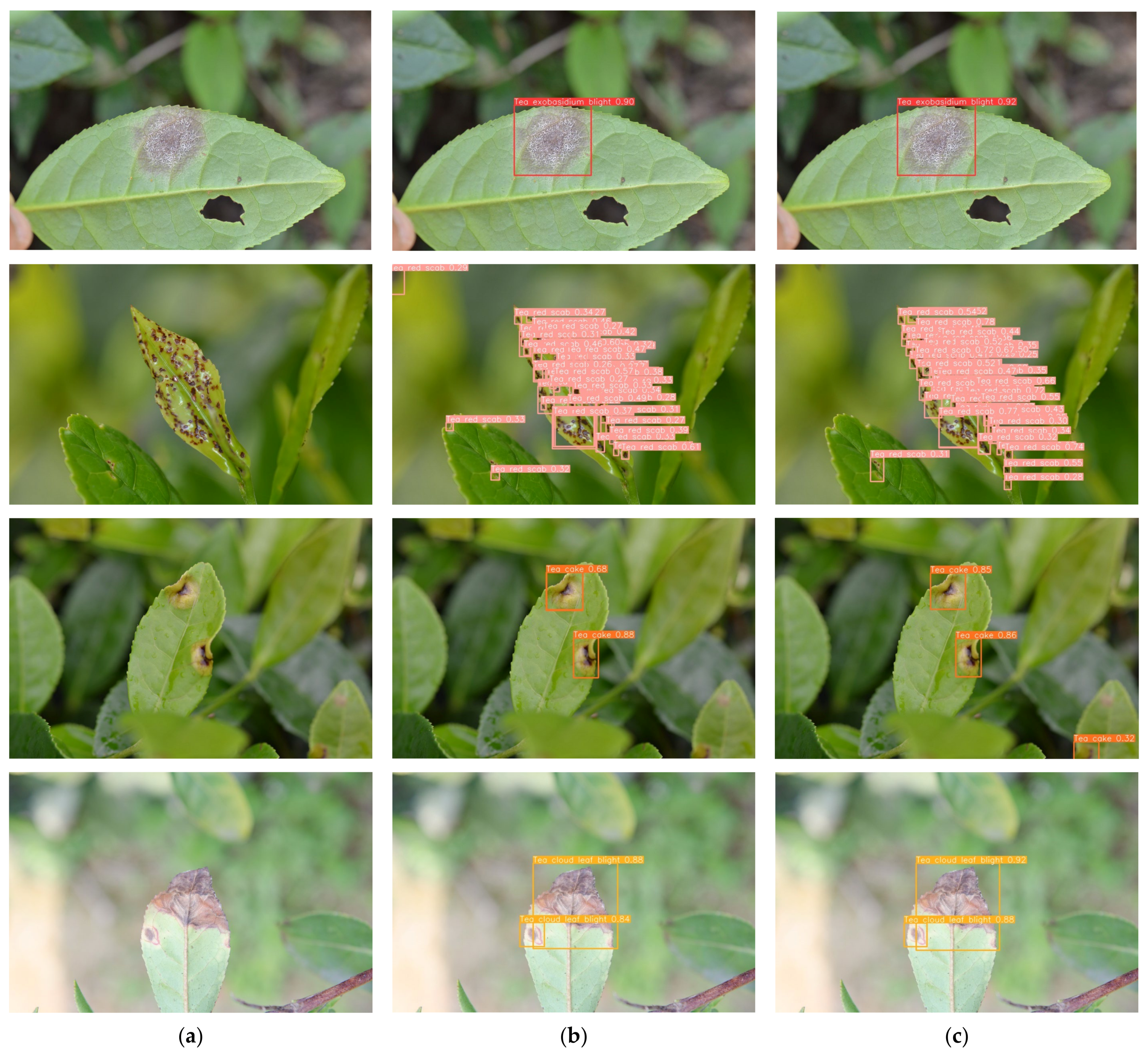 Applsci 15 02063 g010