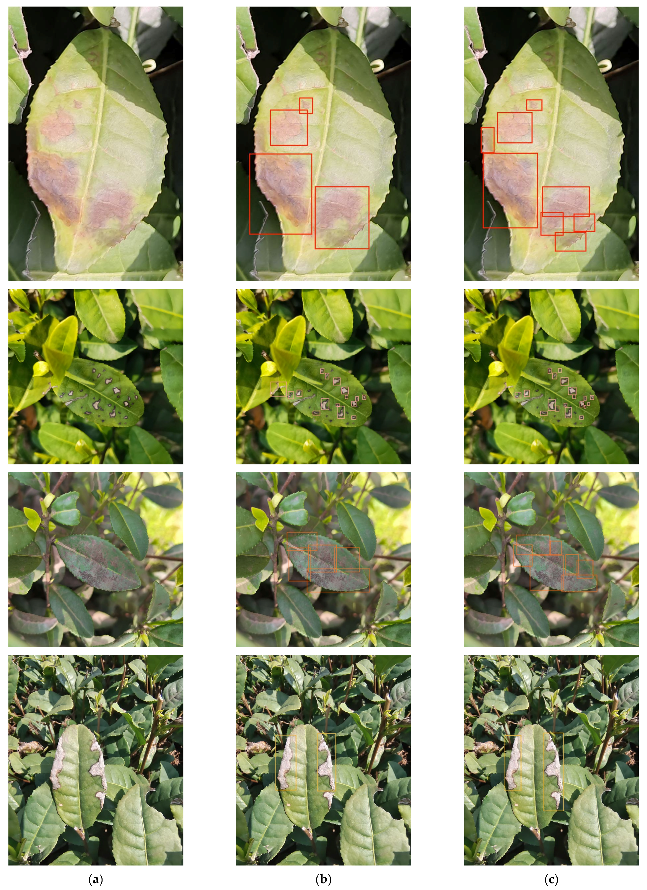 Applsci 15 02063 g011