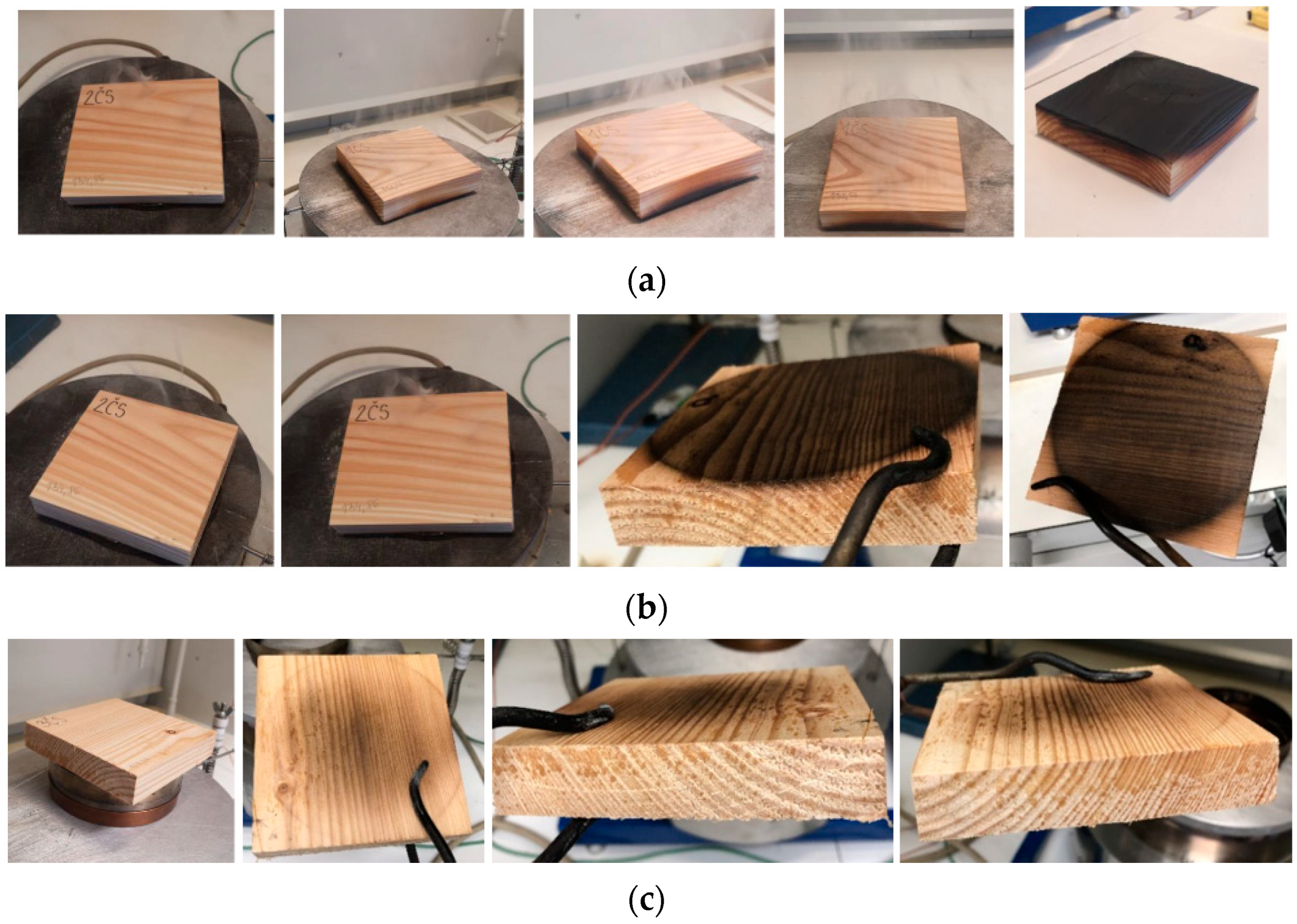 Applsci 15 02065 g005 Applsci 15 02065 g005