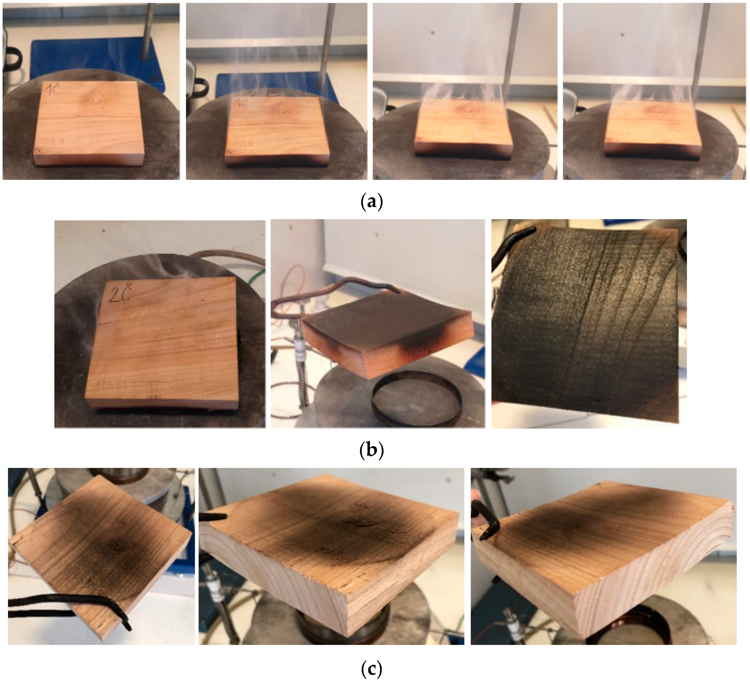 Applsci 15 02065 g007 Applsci 15 02065 g007