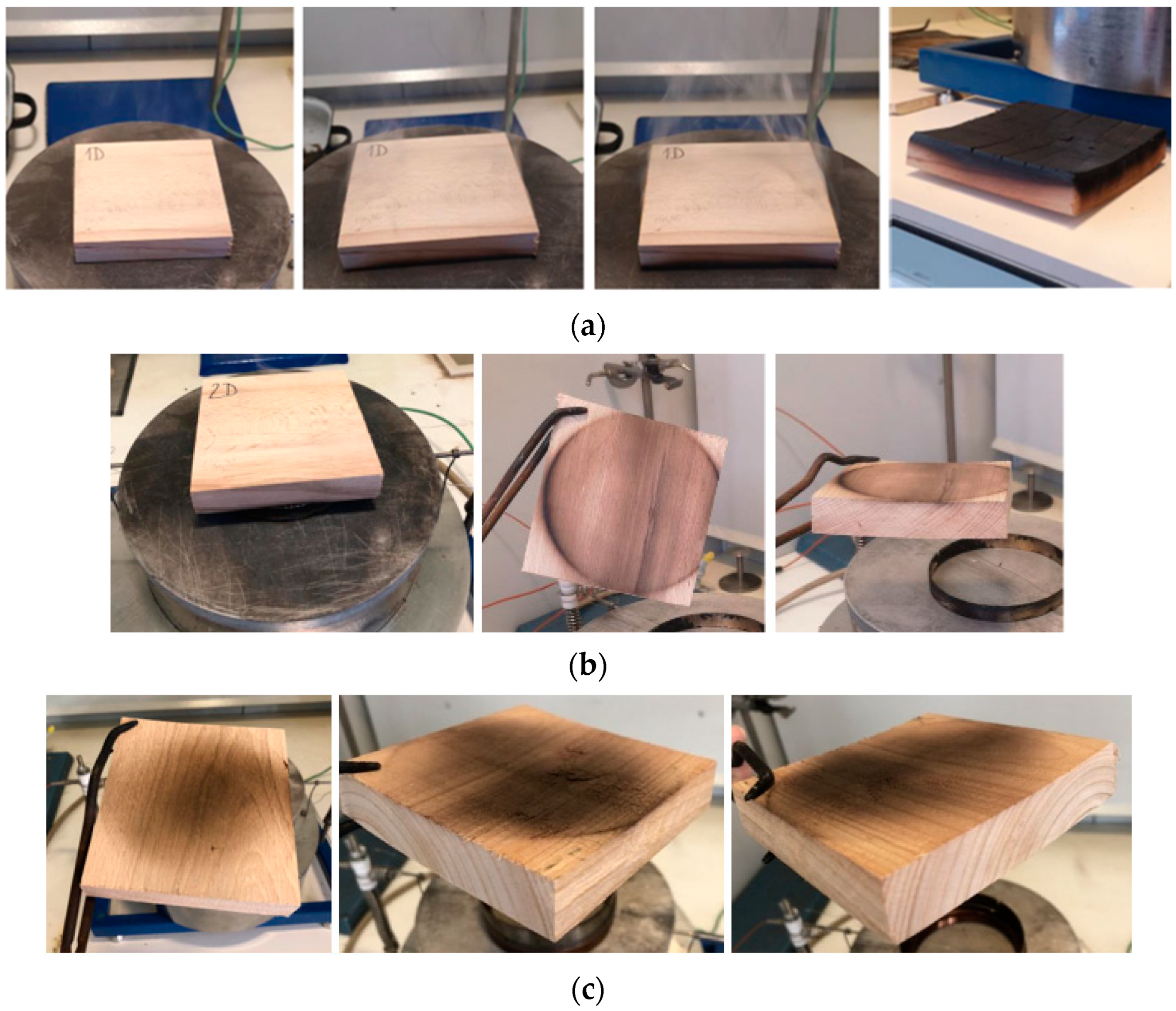 Applsci 15 02065 g009 Applsci 15 02065 g009