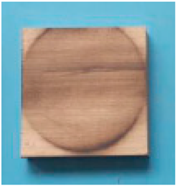 Applsci 15 02065 i008