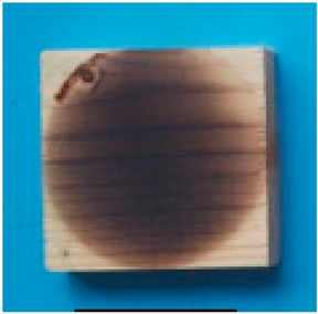 Applsci 15 02065 i009