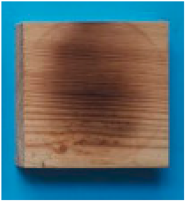 Applsci 15 02065 i010