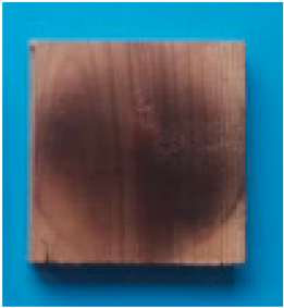 Applsci 15 02065 i011