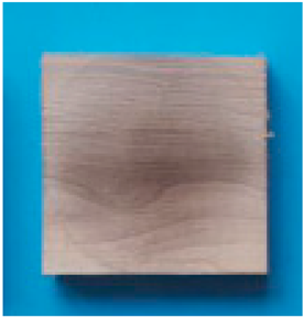 Applsci 15 02065 i012