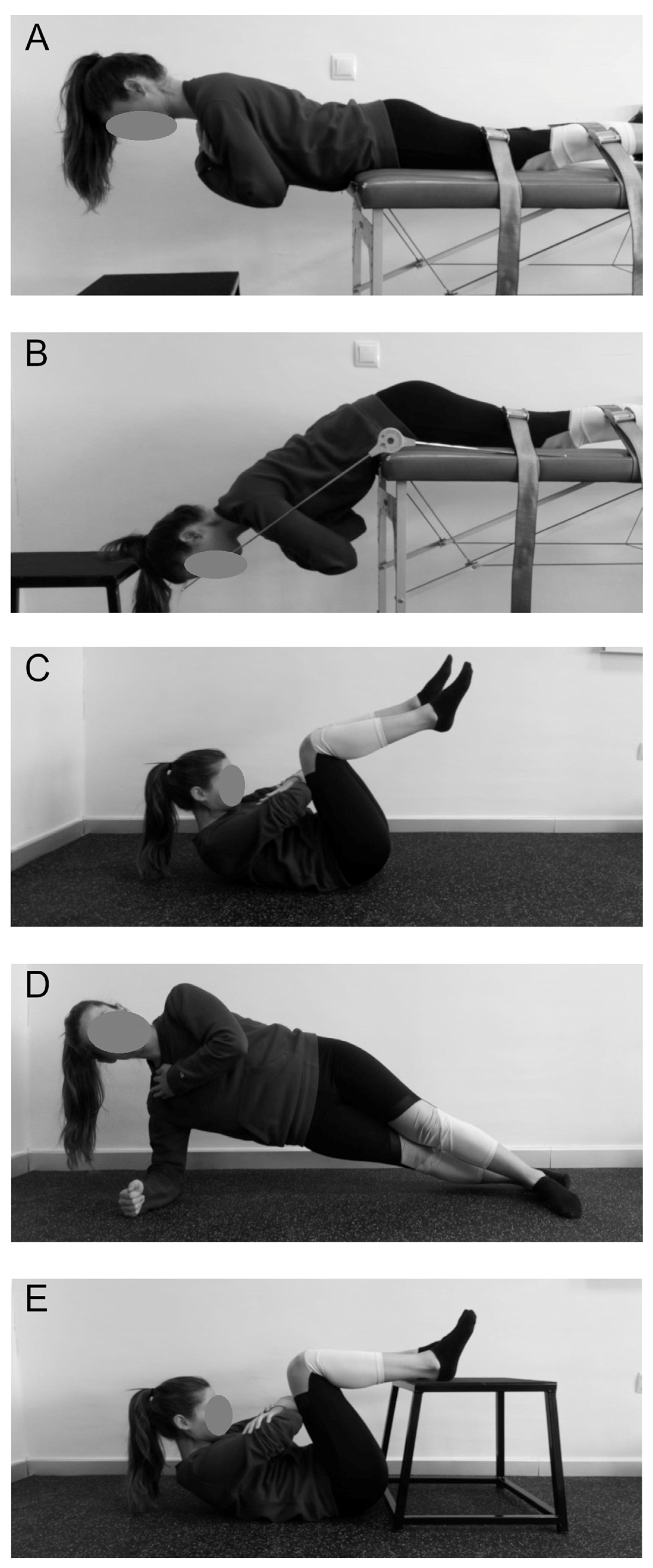 Applsci 15 02066 g001