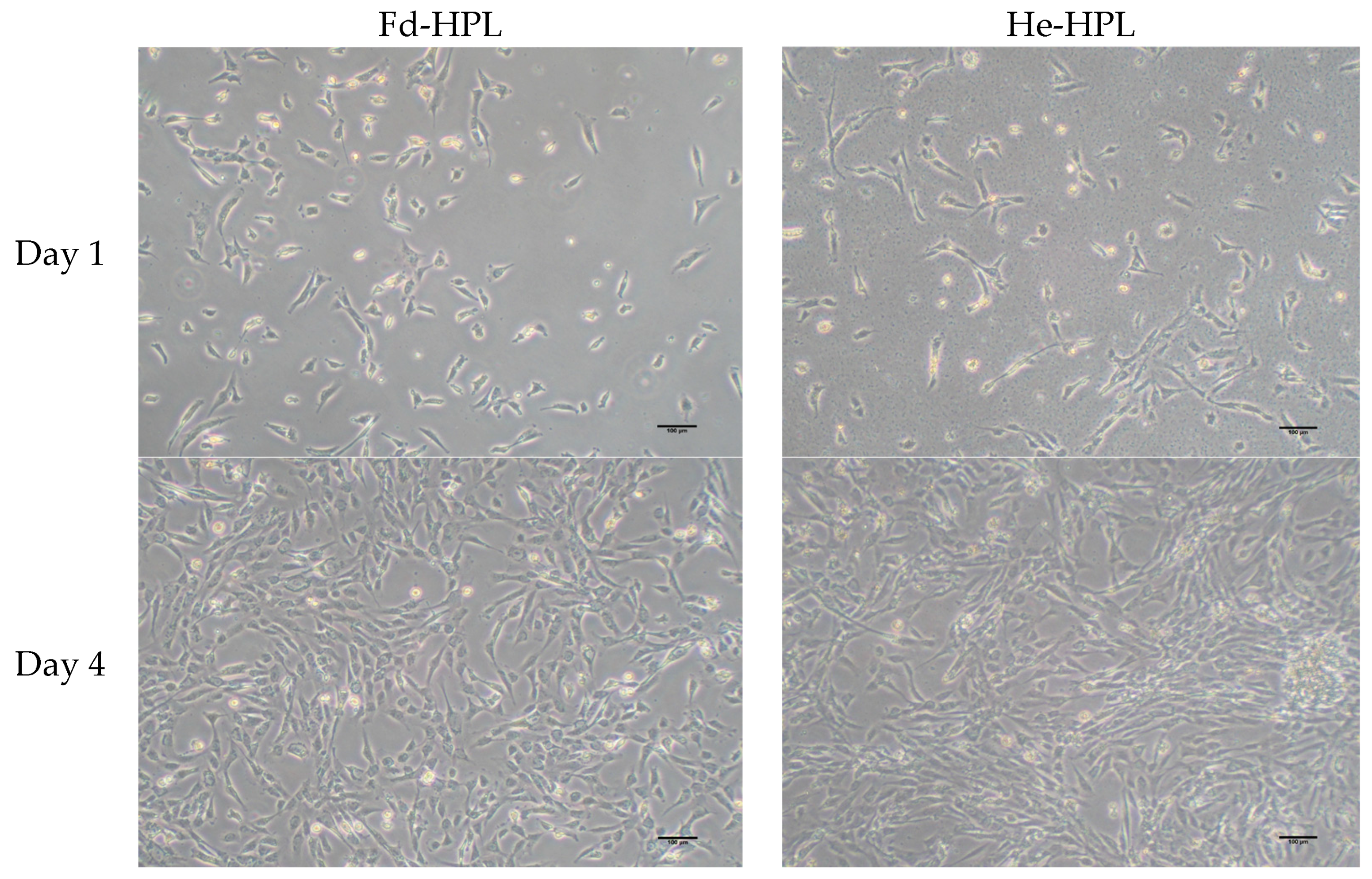 Applsci 15 02074 g002
