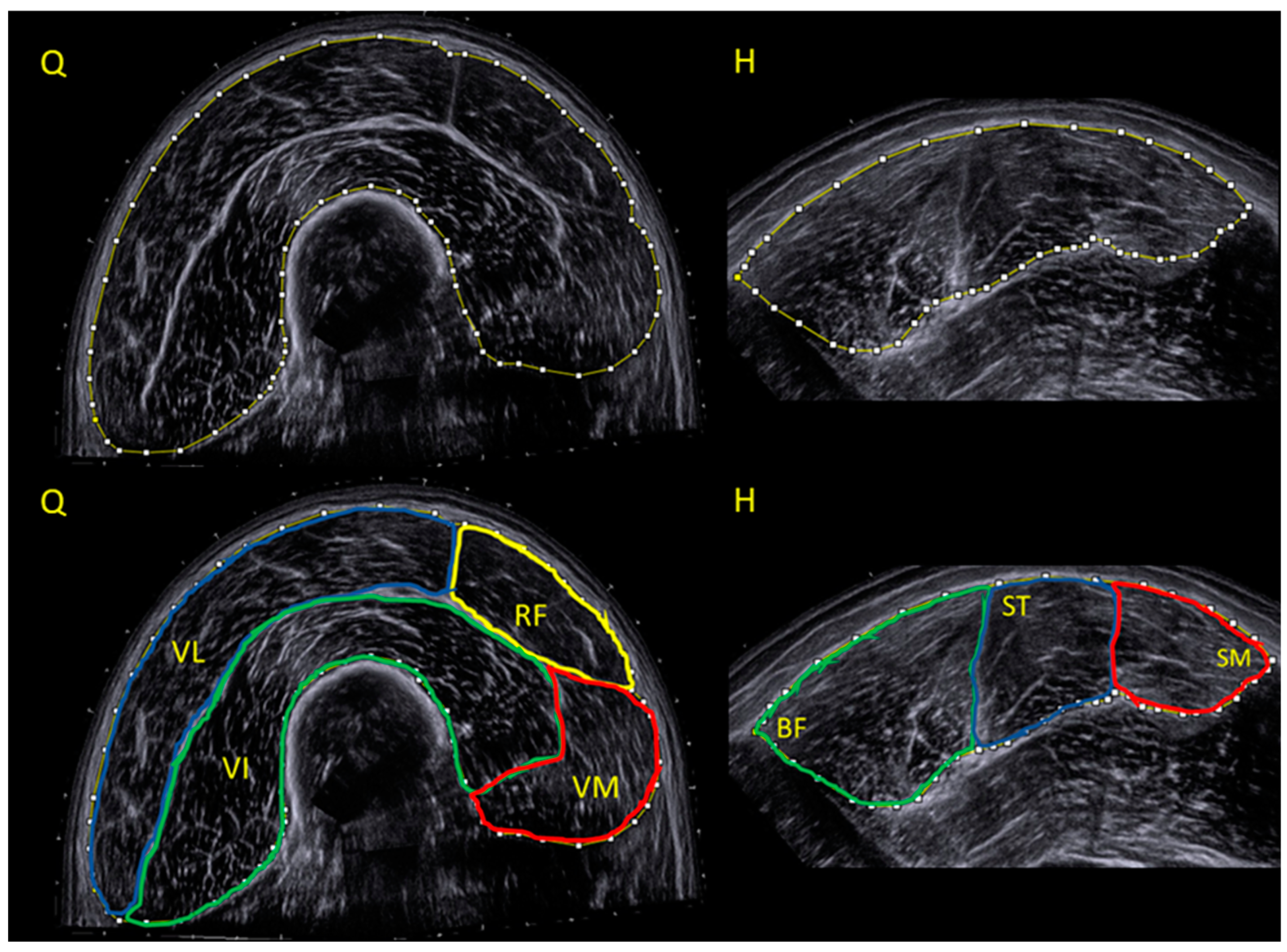 Applsci 15 02102 g001