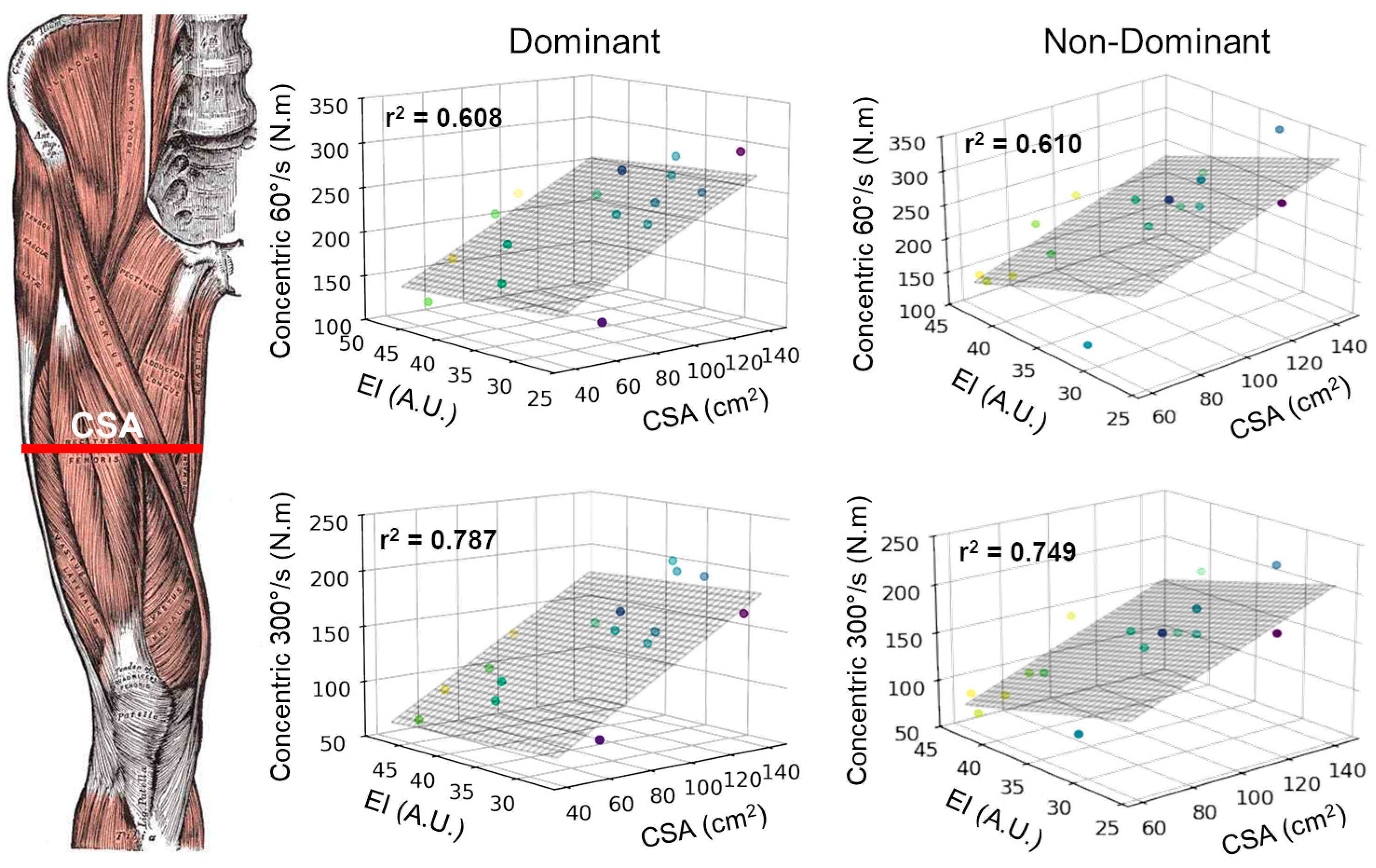 Applsci 15 02102 g002