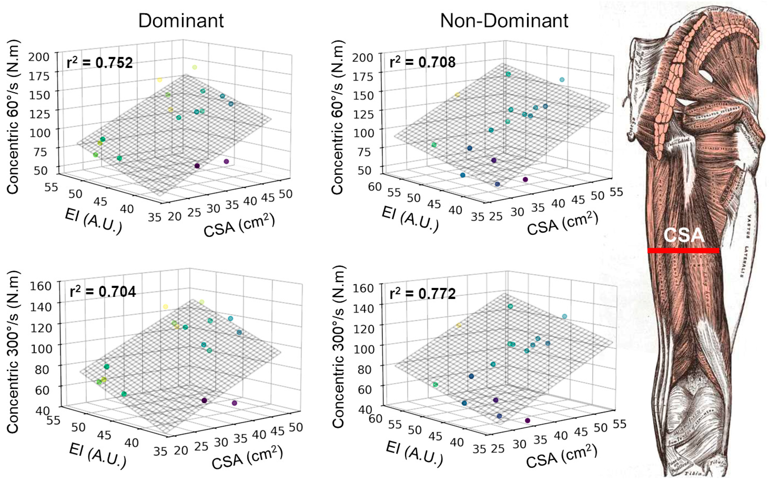 Applsci 15 02102 g003