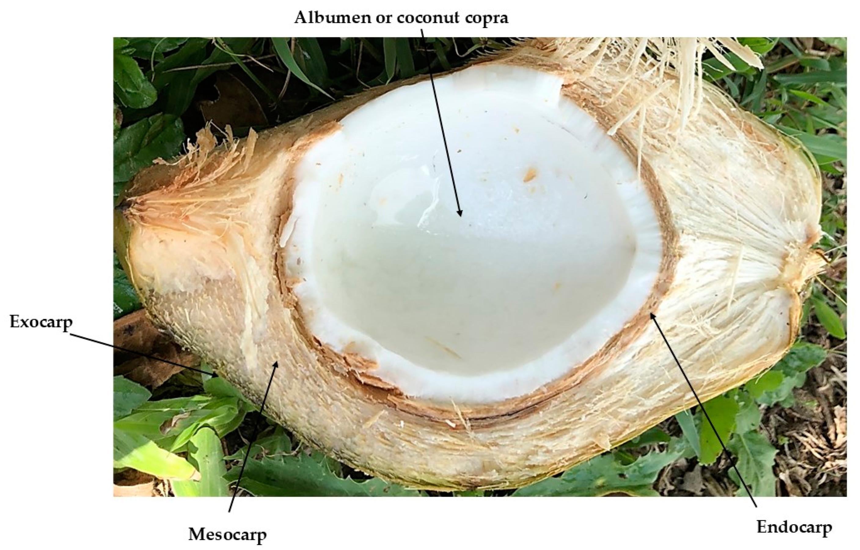 Applsci 15 02108 g001