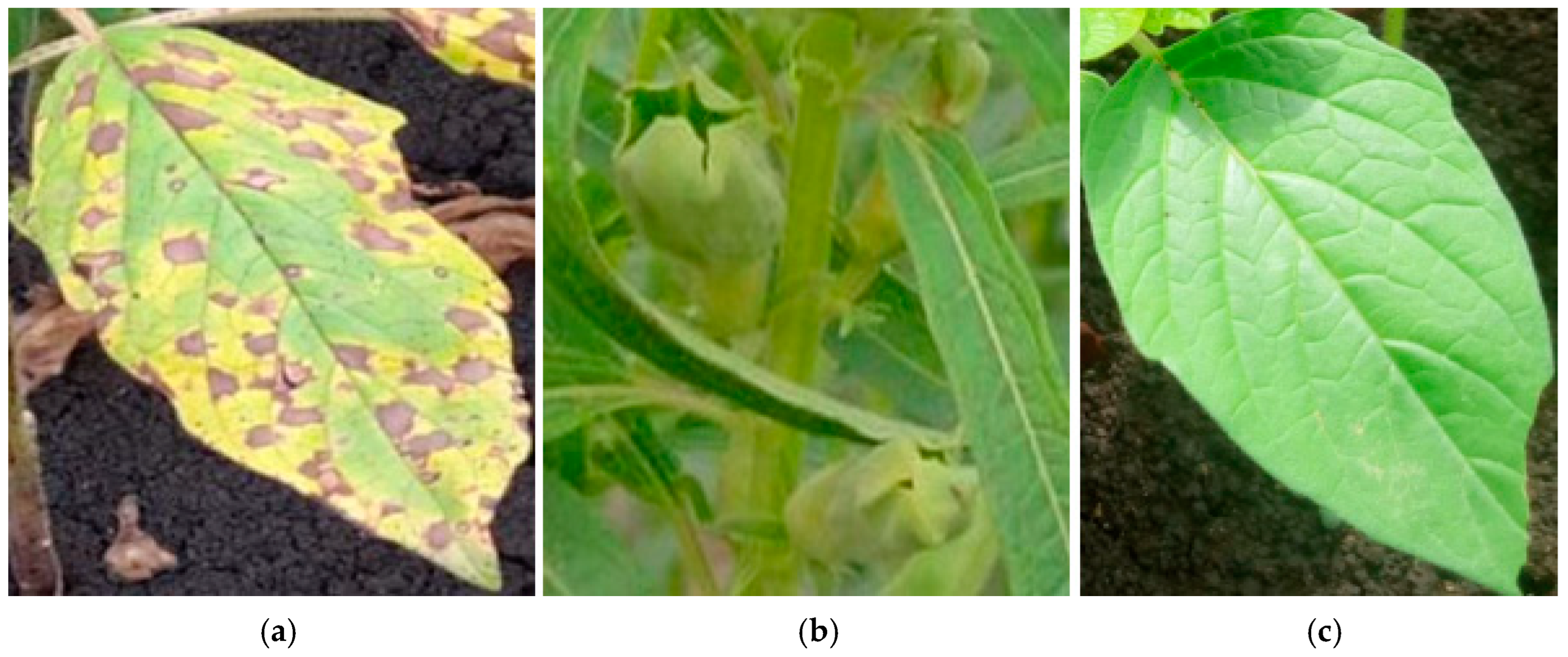 Applsci 15 02124 g002