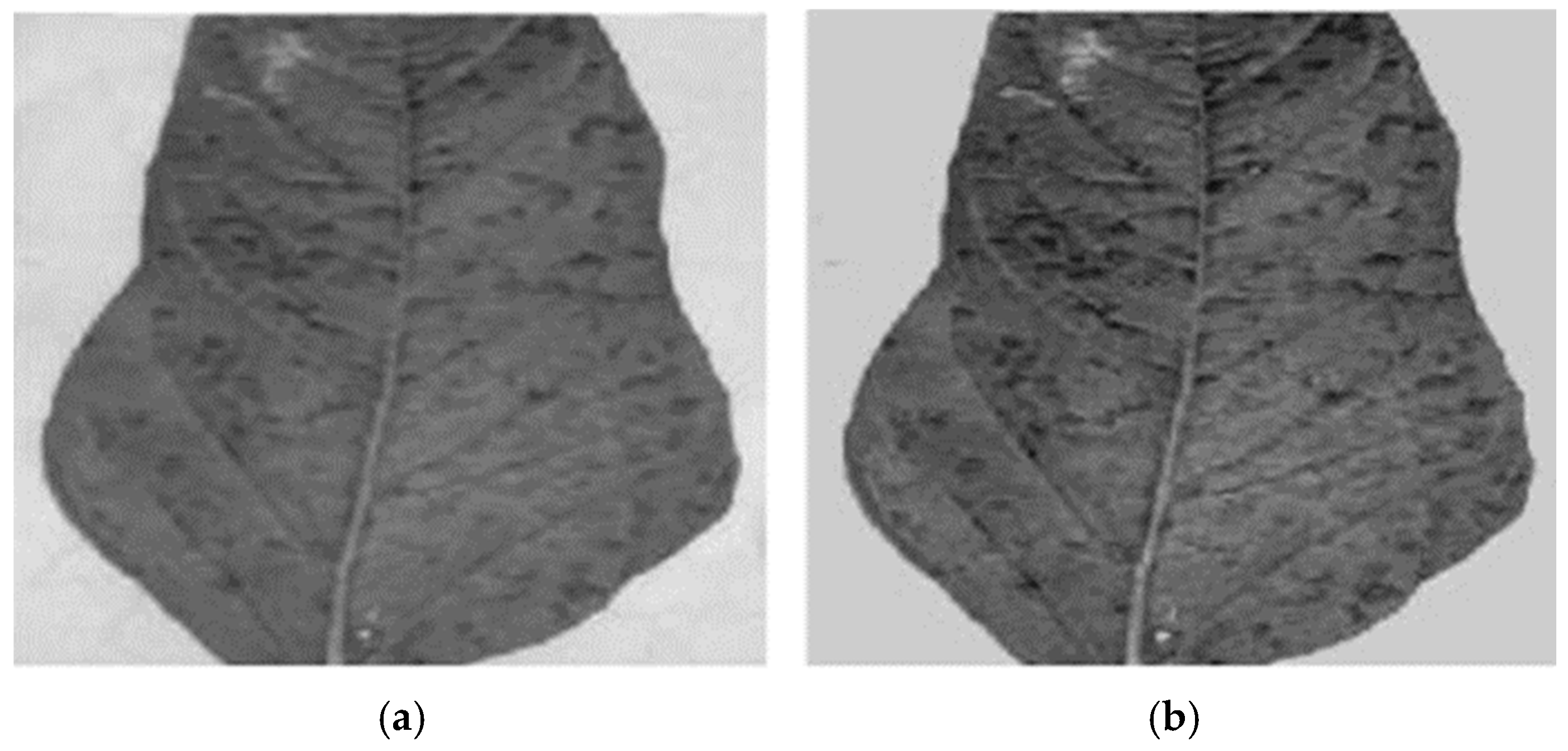 Applsci 15 02124 g004