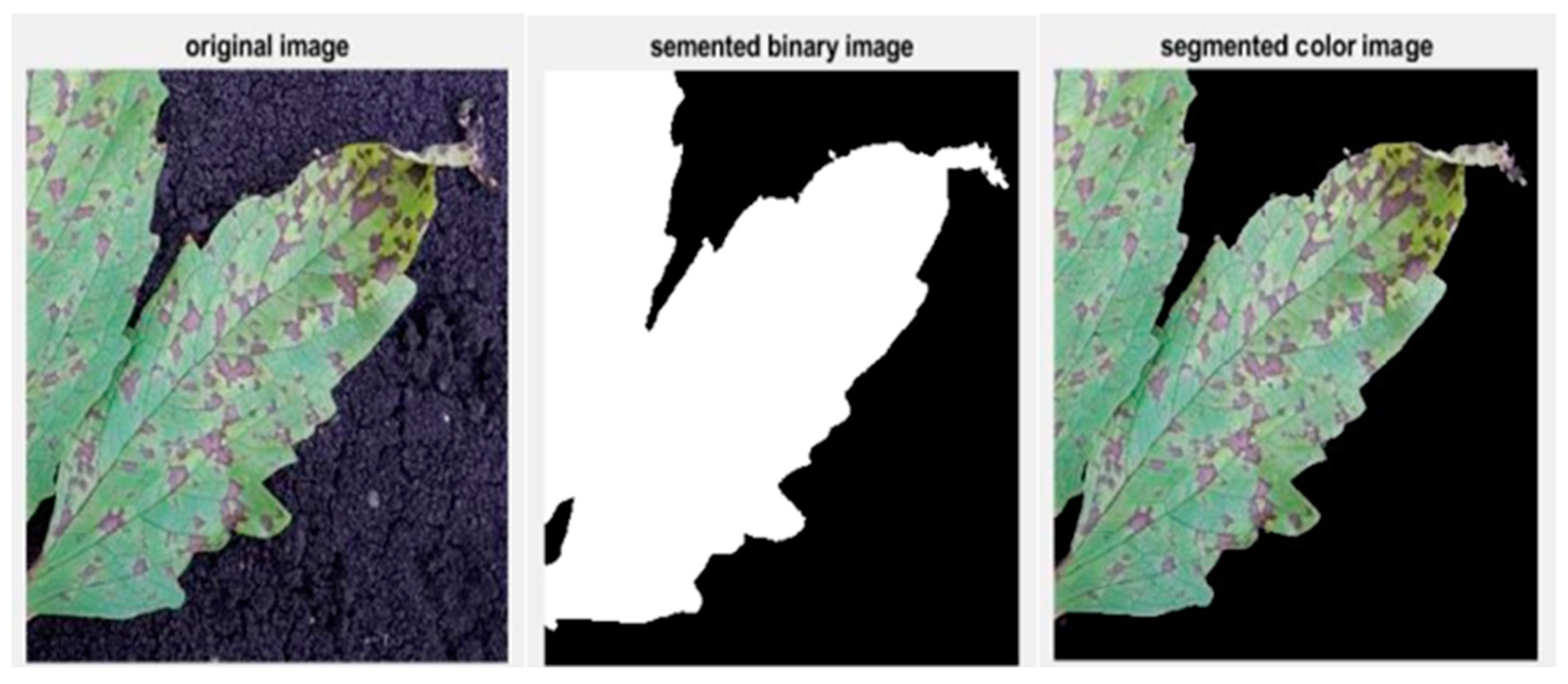 Applsci 15 02124 g005