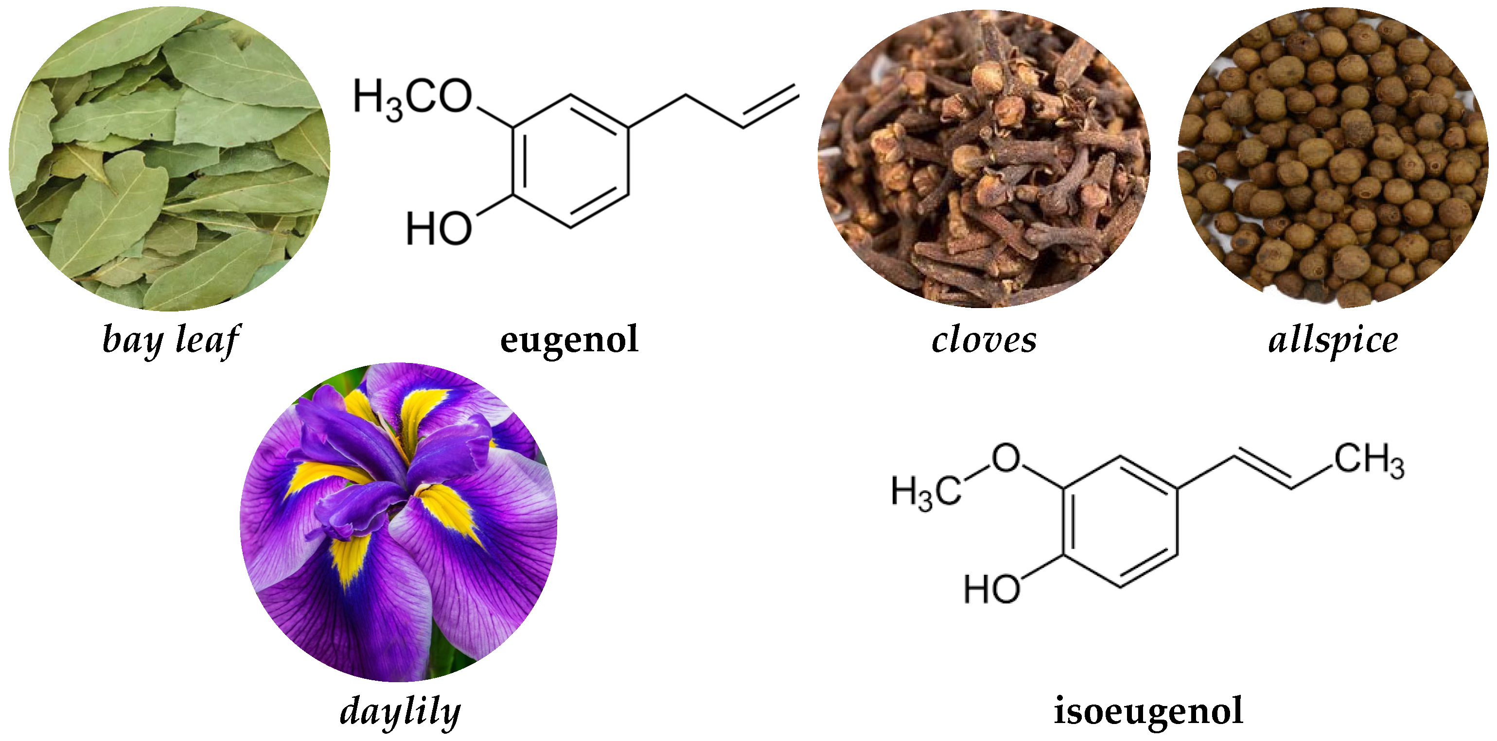 Applsci 15 02129 g001