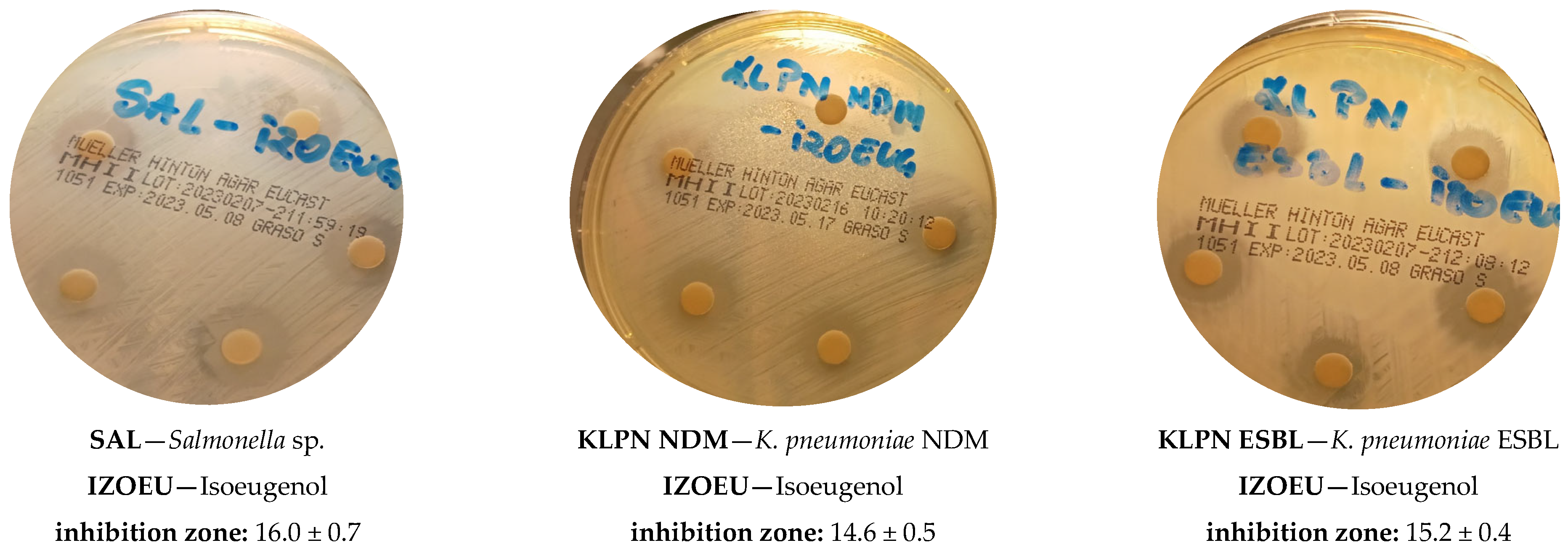 Applsci 15 02129 g003a