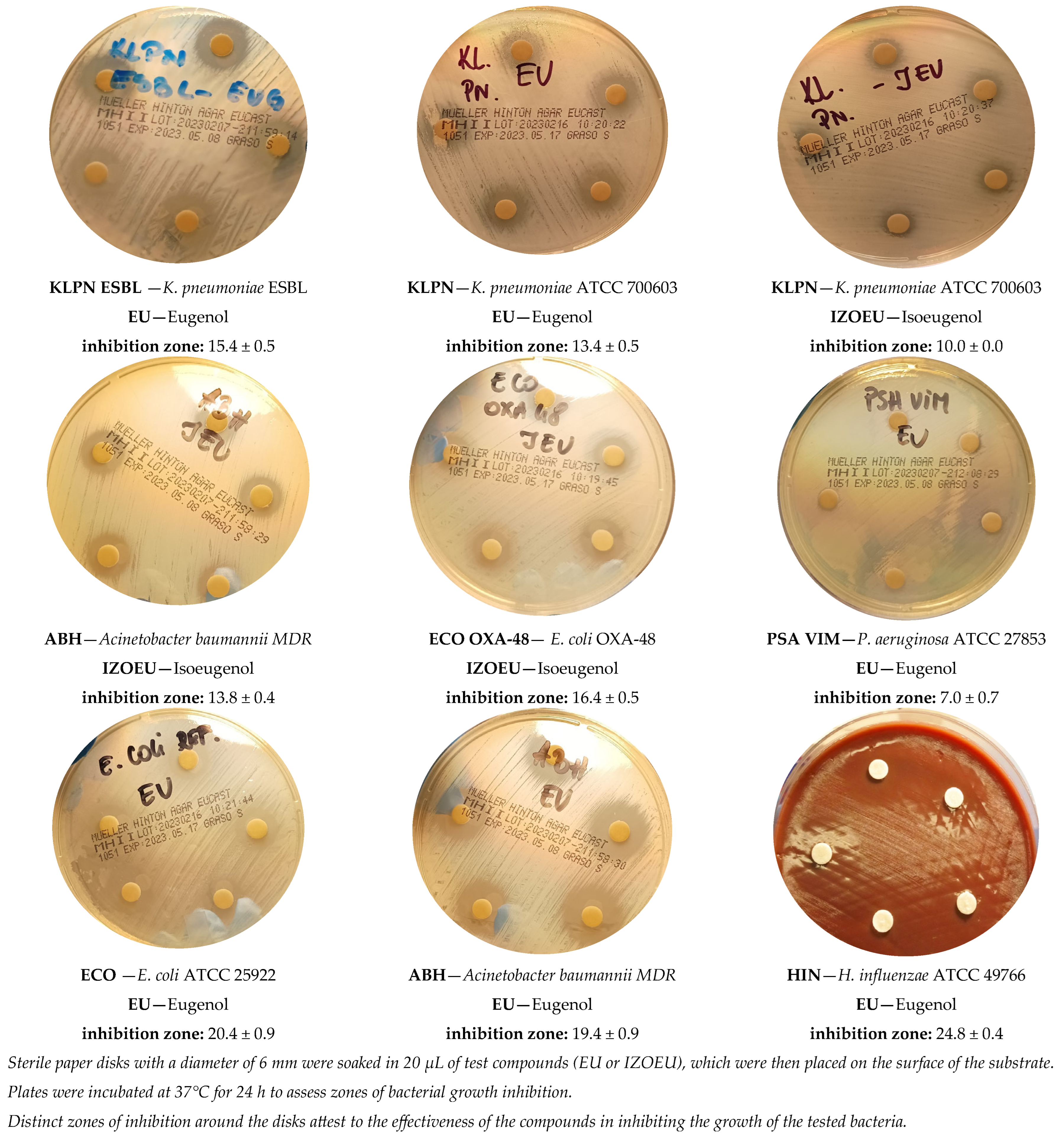 Applsci 15 02129 g003b