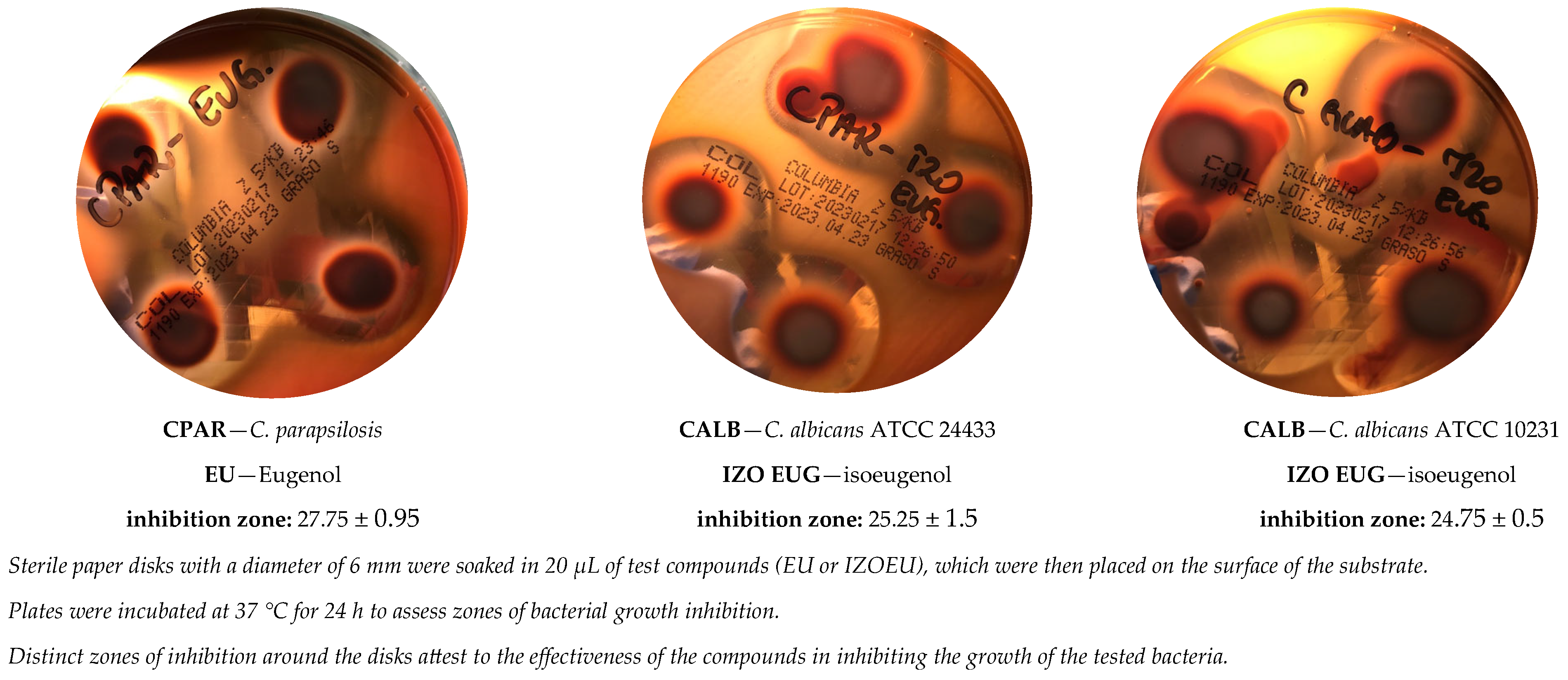 Applsci 15 02129 g004