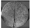 Applsci 15 02149 i023