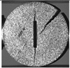 Applsci 15 02149 i025