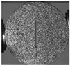 Applsci 15 02149 i026