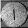 Applsci 15 02149 i029