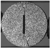 Applsci 15 02149 i031