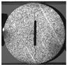 Applsci 15 02149 i035