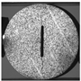 Applsci 15 02149 i036