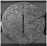 Applsci 15 02149 i039