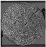 Applsci 15 02149 i040