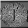 Applsci 15 02149 i047