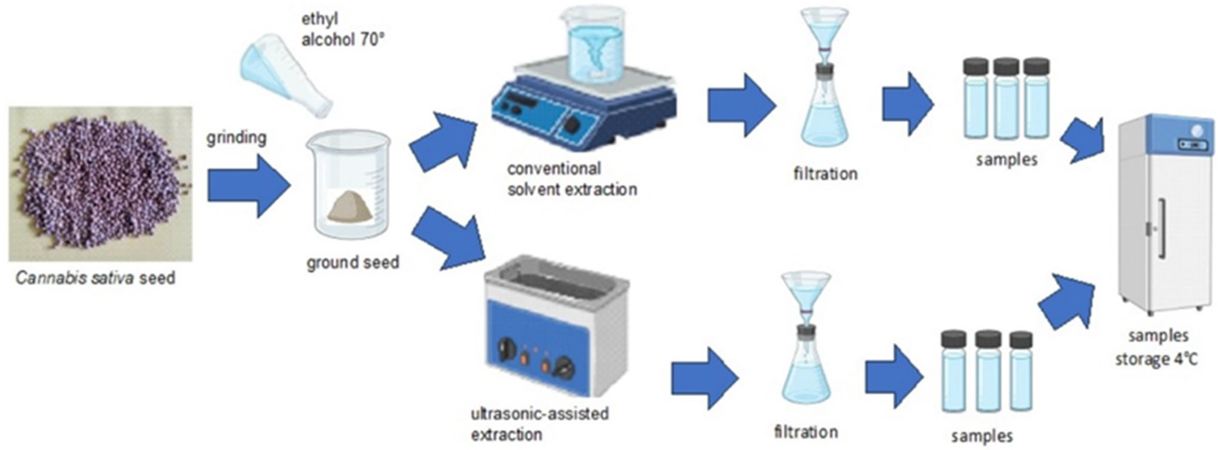 Applsci 15 02178 g001