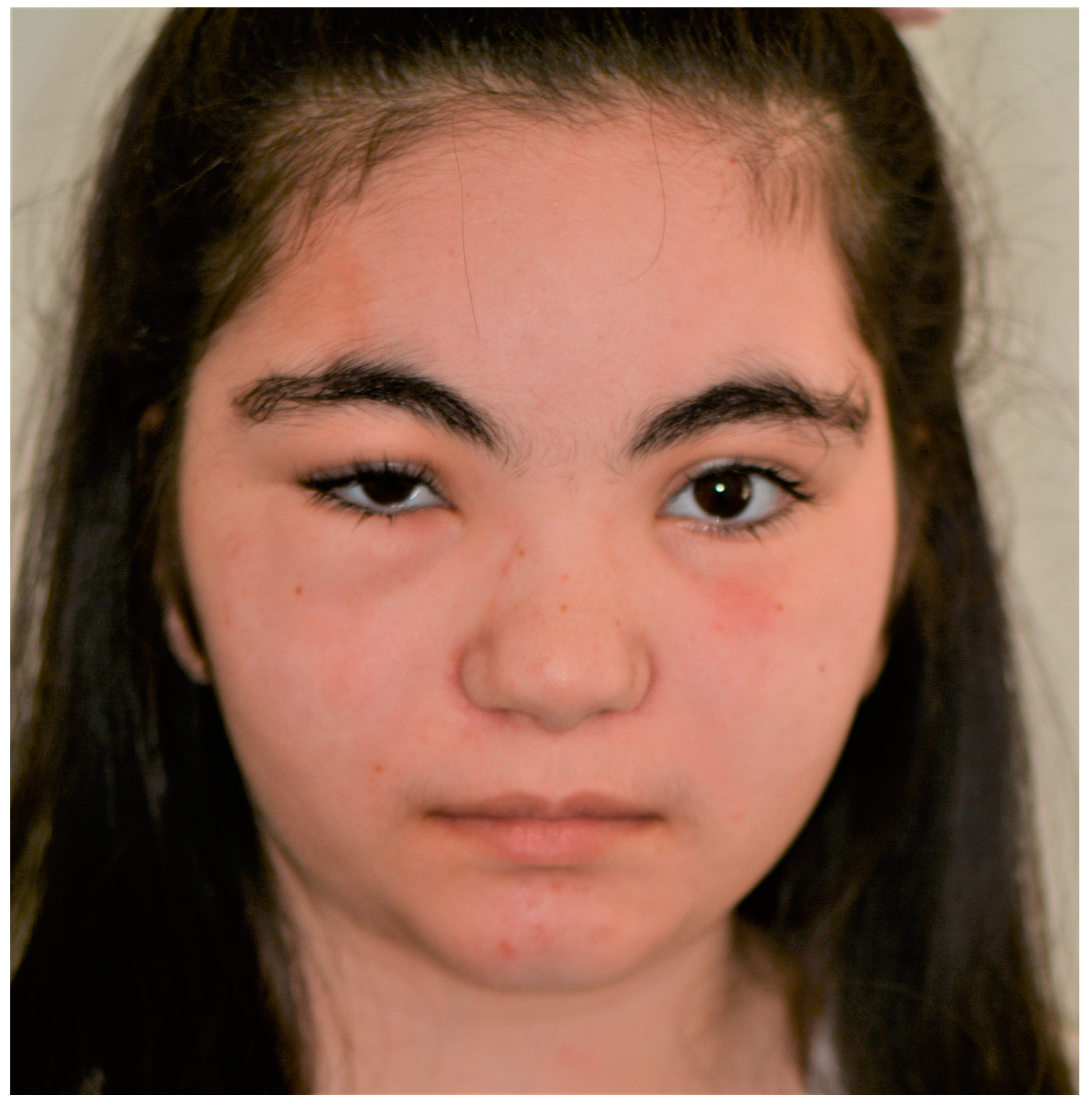 Applsci 15 02195 g001