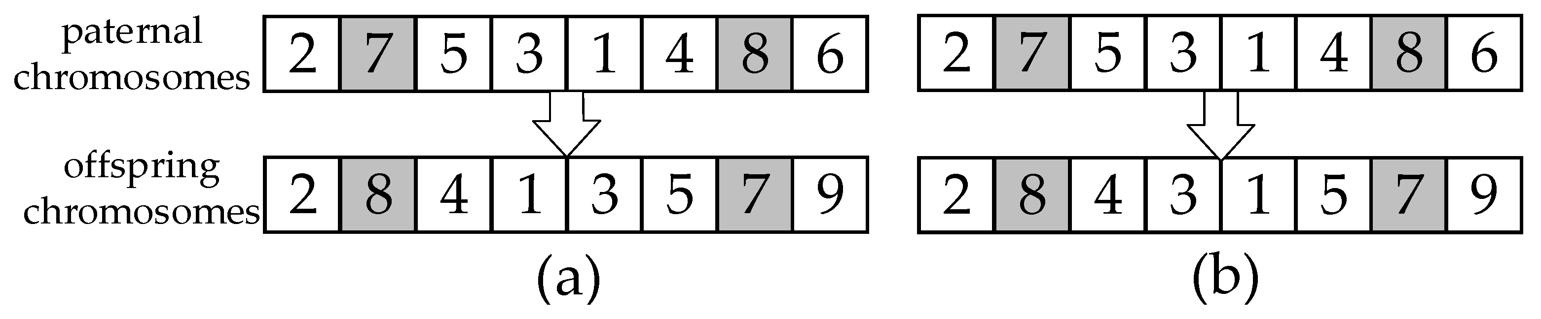 Applsci 15 02207 g006