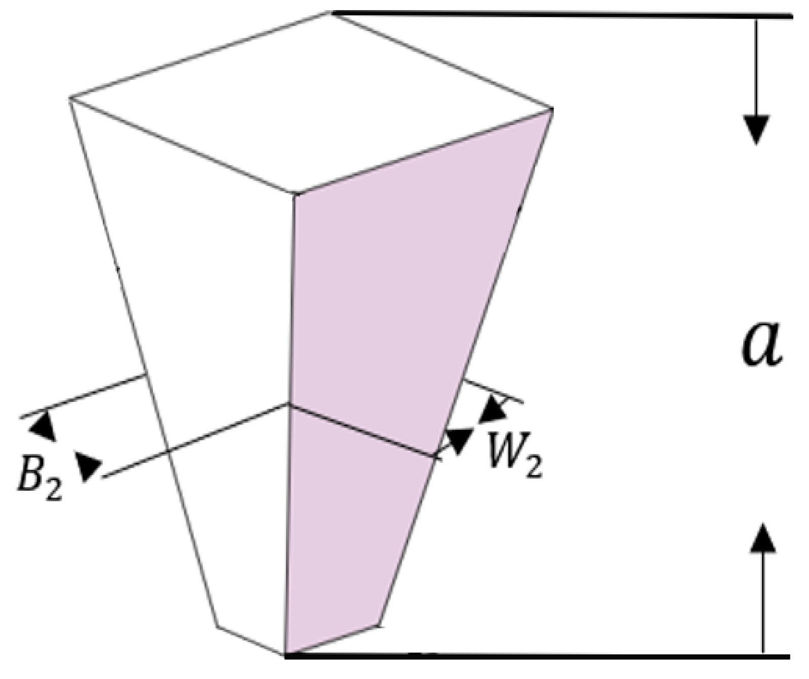 Applsci 15 02215 g003