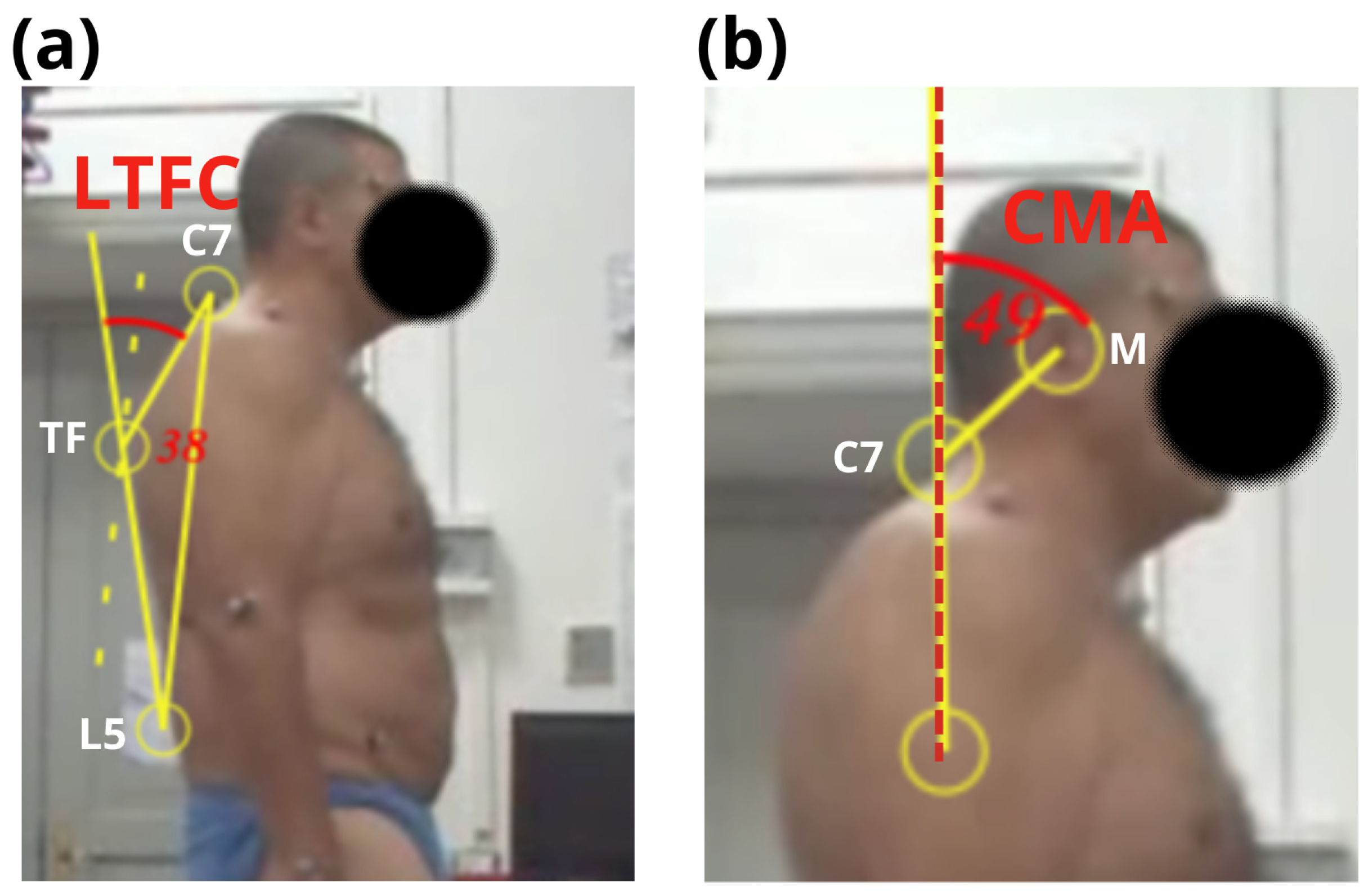 Applsci 15 02255 g001