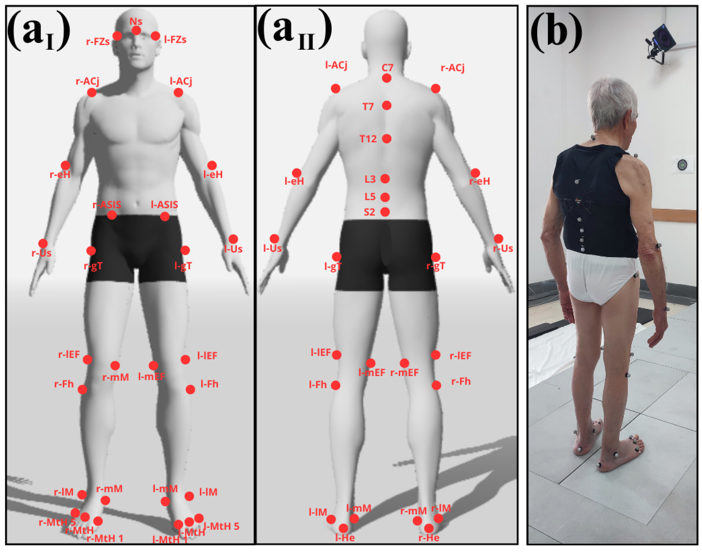 Applsci 15 02255 g002