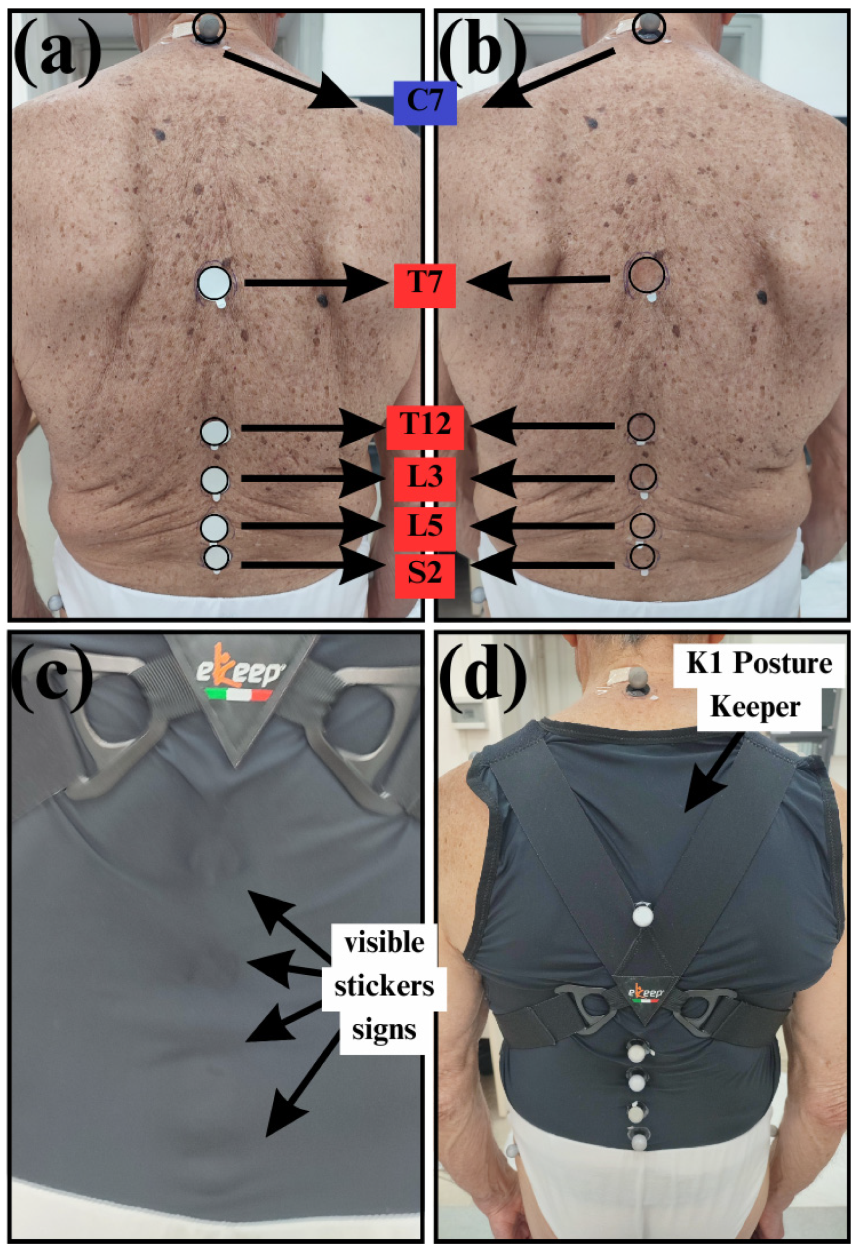 Applsci 15 02255 g003