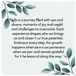 Applsci 15 02274 i036