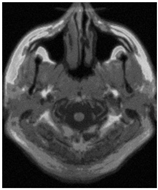 Applsci 15 02355 i001